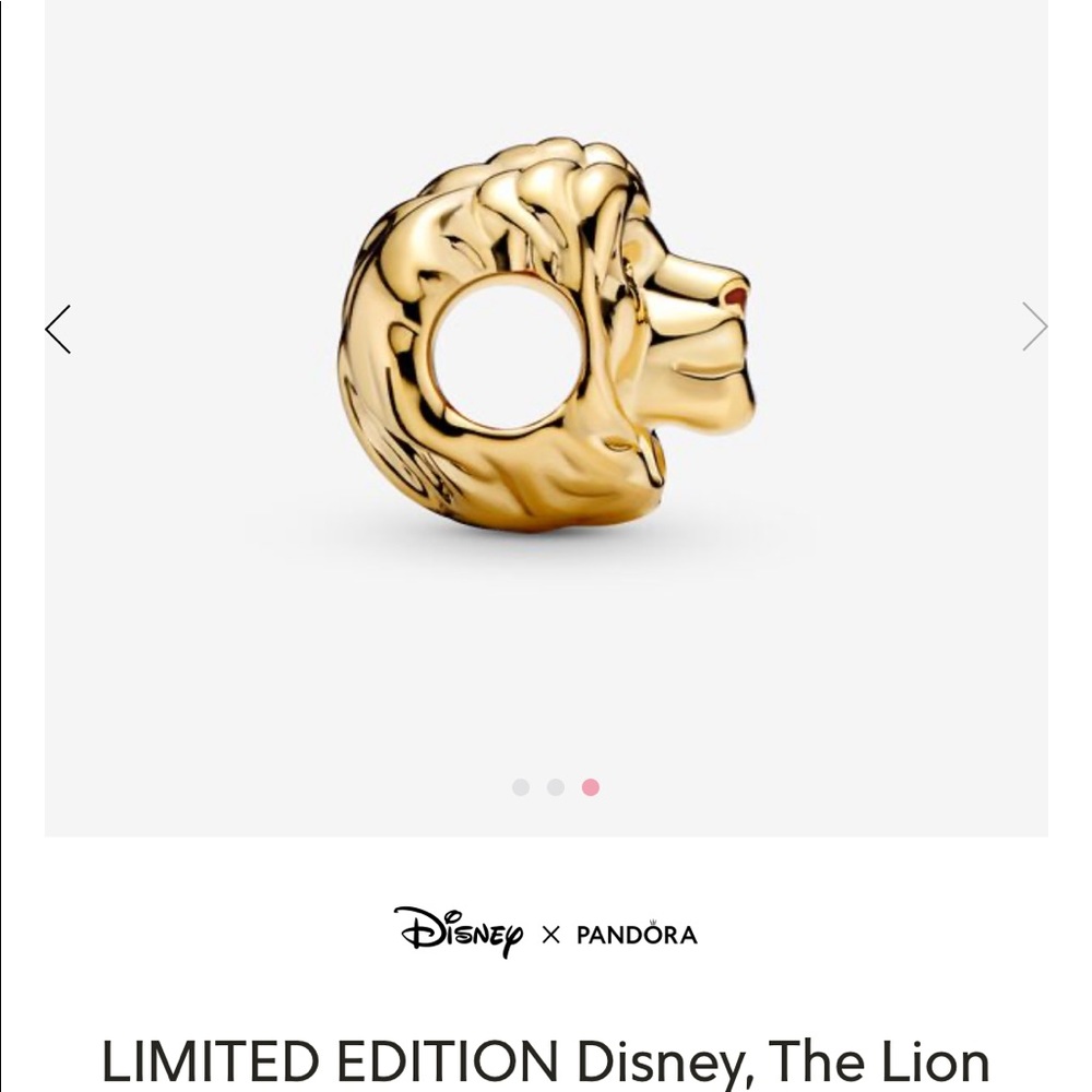 Charm Disney the Lion King